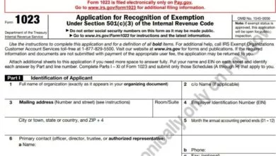Form 1023 312 Form 1023