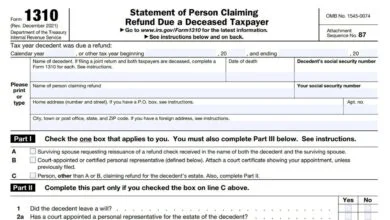 Form 1310 169 Form 1310