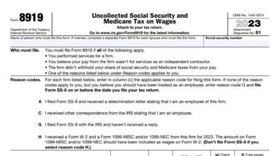 Form 8919