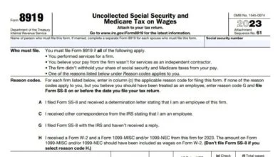 Form 8919 286 Form 8919