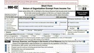 Form 990-EZ 310 Form 990-EZ