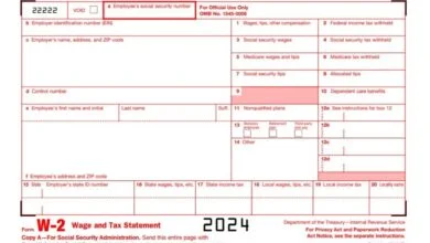 Form W-2 120 Form W-2