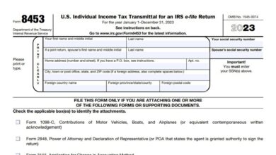 Form 8453 Instructions 2024 - 2025