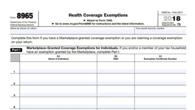 Form 8965 Instructions 2024 - 2025