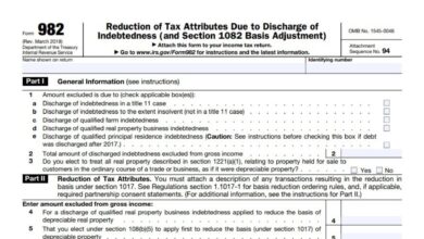 Form 982 31 Form 982