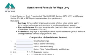 Montana Garnishment Formula for Wage Levy Form 7 Montana Garnishment Formula for Wage Levy Form