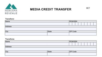 Montana MCT Form