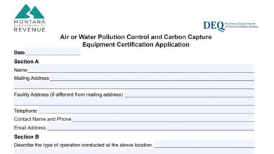 Montana Form CAB-2 7 Montana Form CAB-2