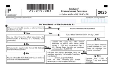 Kentucky Schedule P (Form 740)