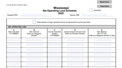 Mississippi Net Operating Loss Schedule